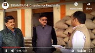 TIKAMGARH: Disaster for Urad mills